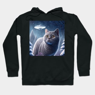 Scared British Shorthair Hoodie